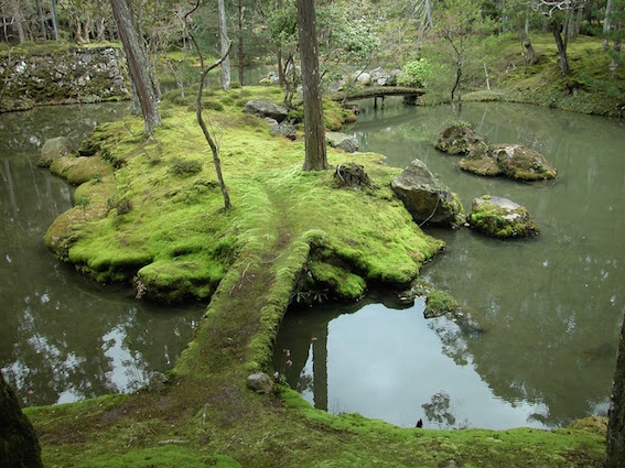 Koke-dera (moss Garden) Saihō-ji Temple, Kyōto Koke-dera (moss Garden) Saihō-ji Temple, Kyōto